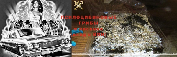 2c-b Абаза