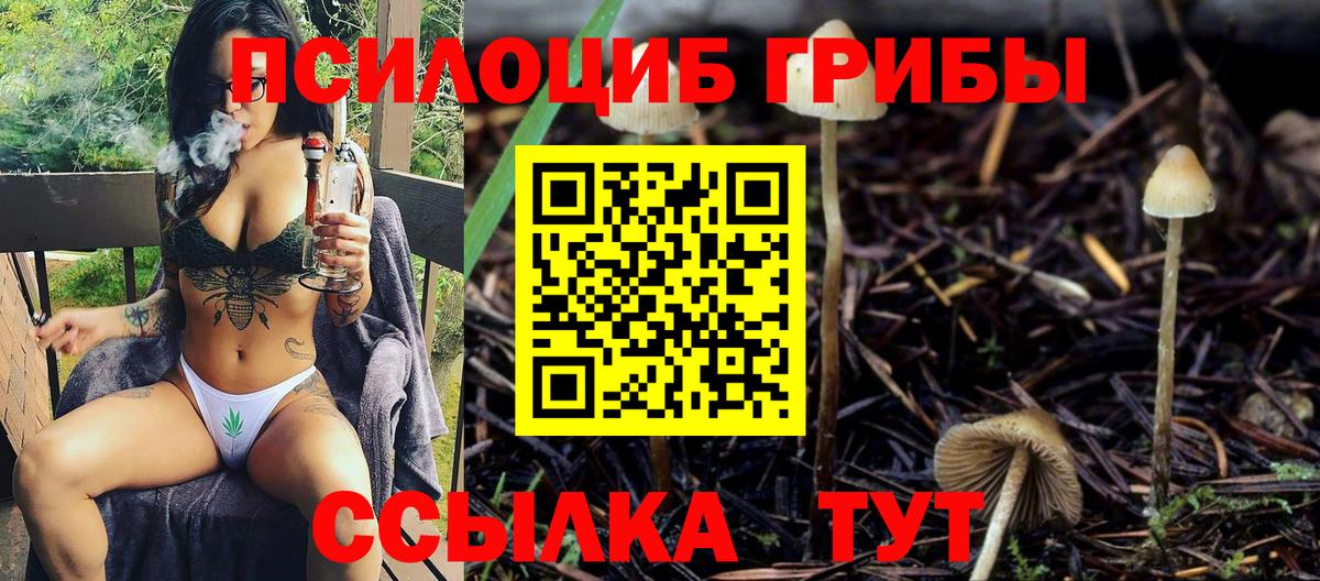 Аксай  купить   Вход с VPN  Галлюциногенные грибы Cubensis 